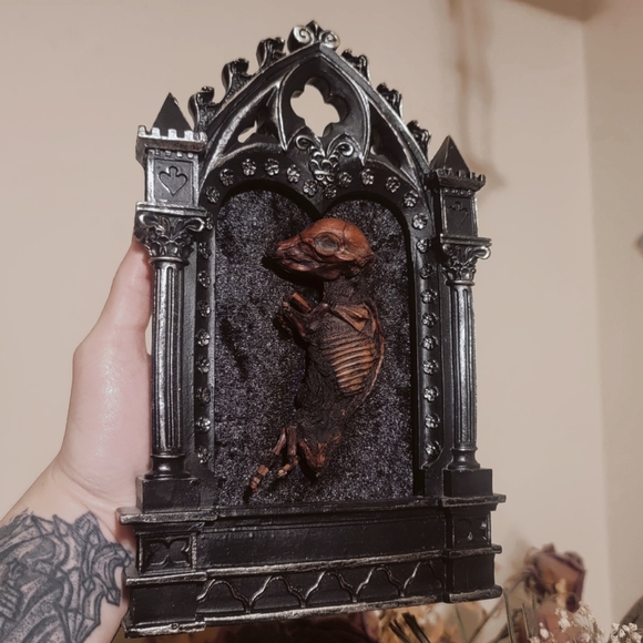 Gothic Mummified Piglet Display - Picture 6 of 6